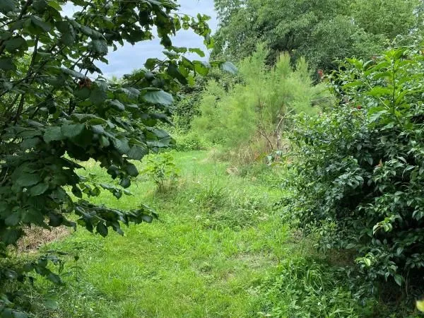 Terrain 760 m² La Teste De Buch 