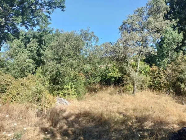 Terrain 620 m² 