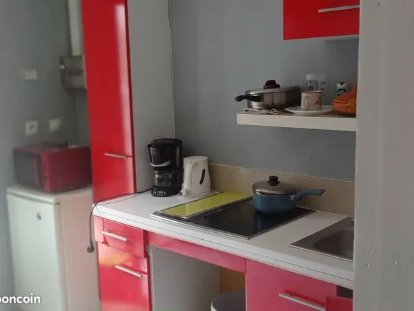 Studio meublé Bordeaux à 1 mn de la gare avec terrasse 