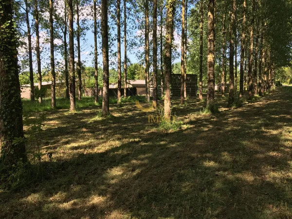 Terrain et batiments agricoles 