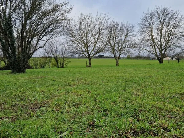 Terrain 1 198 m² Dolus Le Sec 