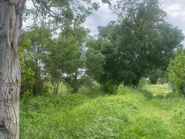 Terrain 685 m² 