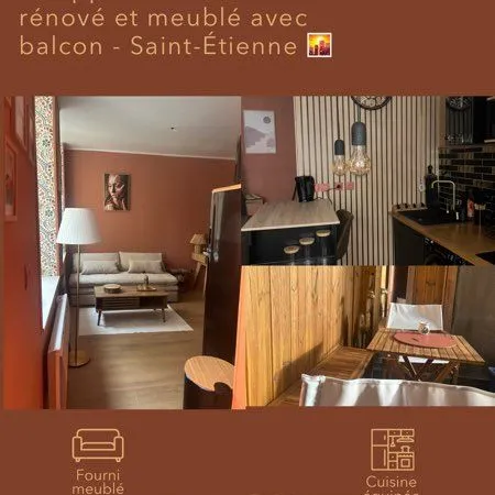 Appartement 24 m2 rénové et meublé au coeur de Saint Étienne 