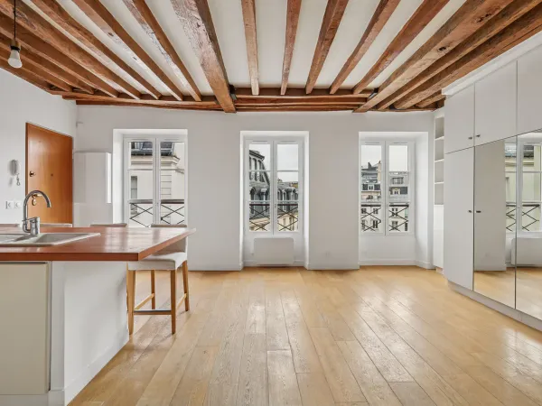PARIS VI - Quartier de la Monnaie Lumineux studio avec vue sur Notre-Dame