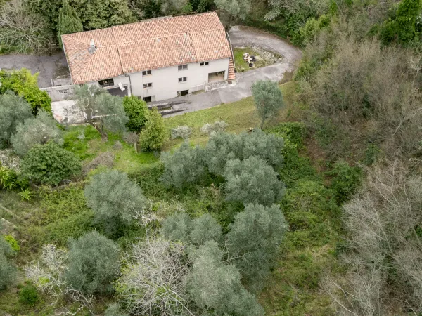 Maison avec grand terrain pour un projet de rénovation.