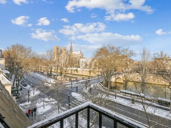 Duplex de charme avec vue sur la Seine et Notre-Dame de Paris