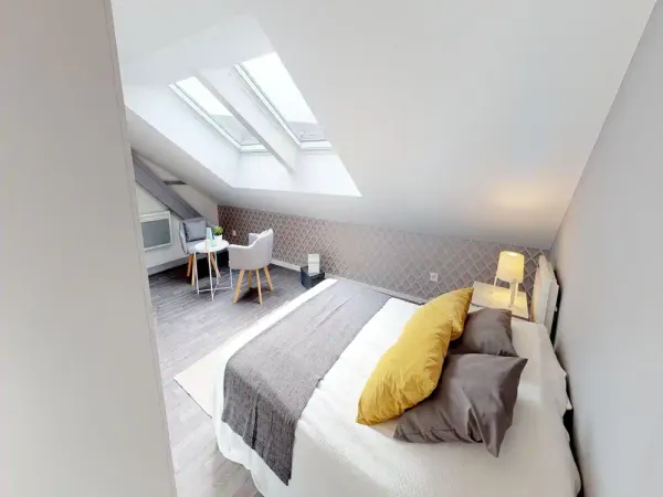 Propose appartement en colocation