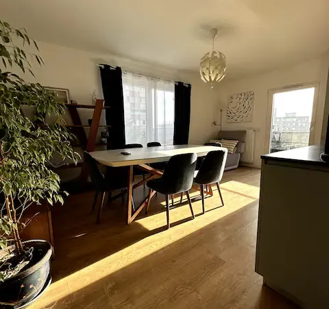 Propose appartement en colocation