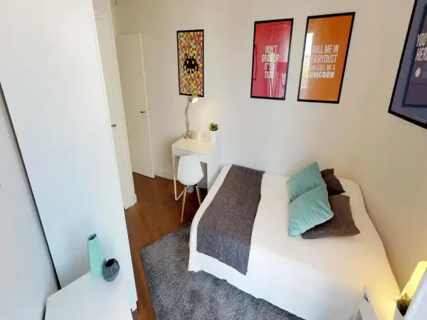 Propose appartement en colocation