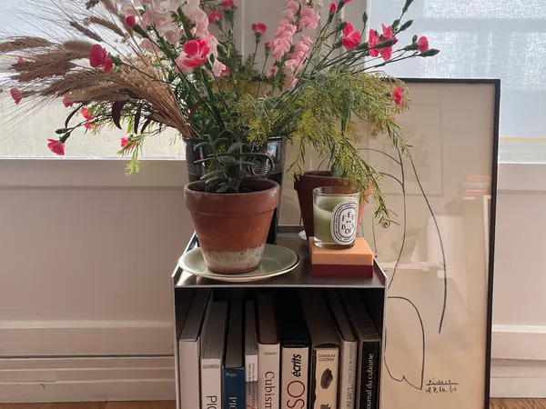 Sous-loue appartement 46m² Paris 17ème - 3.5 mois juin 2026 - mi septembre 2026