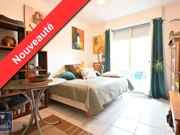 Appartement 1 pièce 19 m²