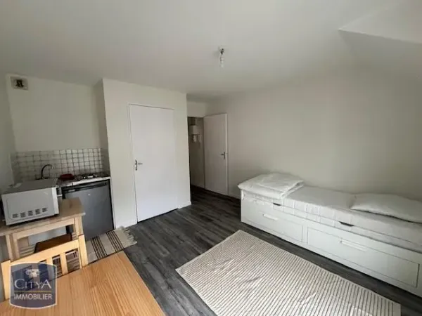 Appartement 1 pièce 20 m²
