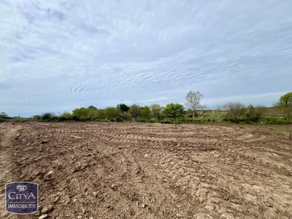Terrain 2186 m²