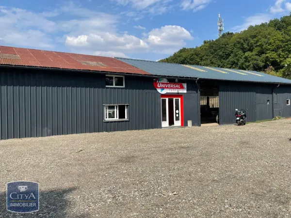 Local commercial 393 m²