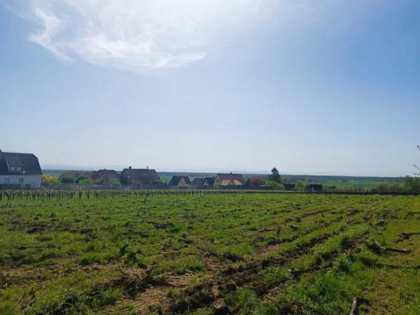 Terrain en individuel 589 m²