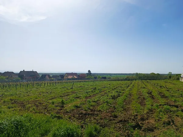 Terrain en individuel 577 m²
