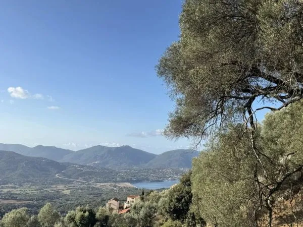 RARE À LA VENTE - TERRAIN CONSTRUCTIBLE OLMETO