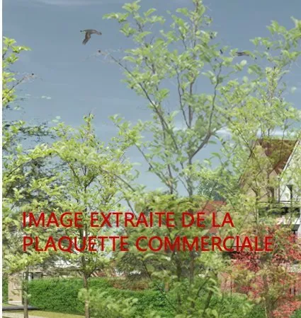 Achat : Maison (78980)