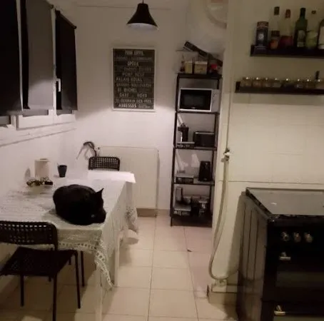 Chambre 1 pièce 12 m²