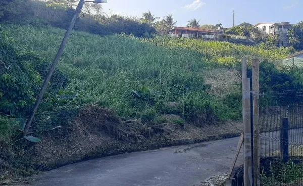 Terrain 1486 m²