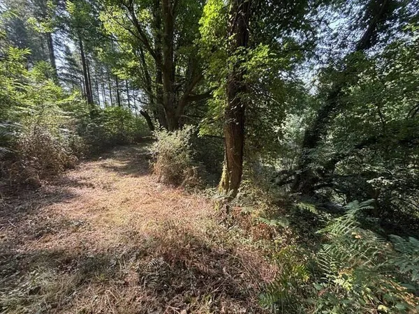 Terrain 4270 m²