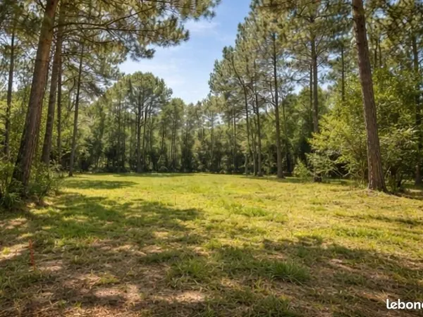 Terrain 450 m² La Tremblade