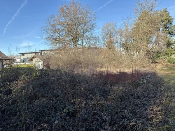 Terrain constructible