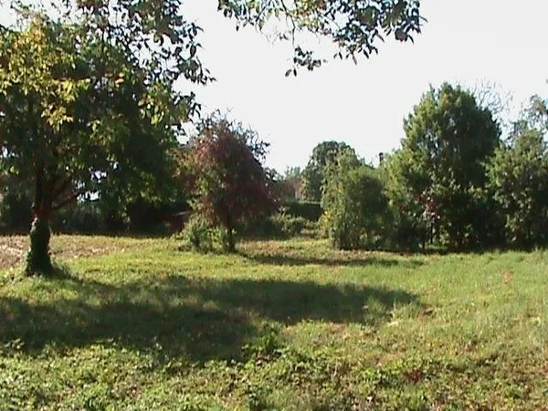 Terrain 3000 M2 Viabilise Clos & Arbore