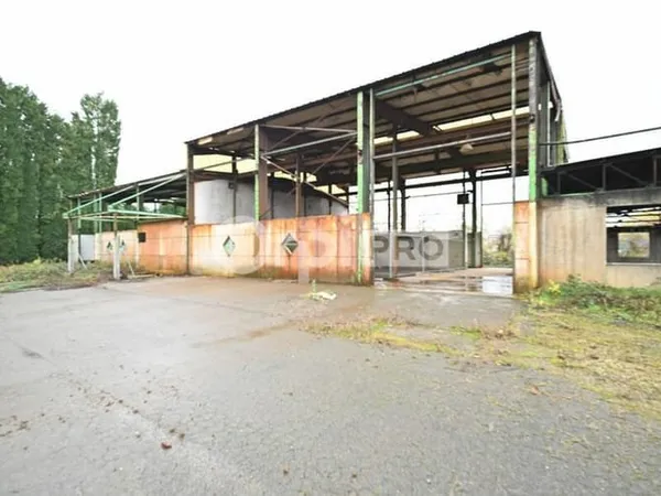 Local d'activité 783 m²