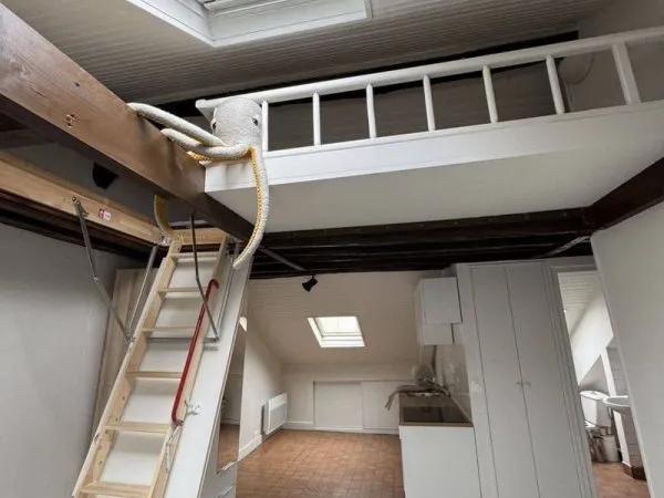 Appartement 1 pièce 25 m²