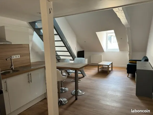 F2 meublé REFAIT À NEUF dans un BEL IMMEUBLE ANCIEN