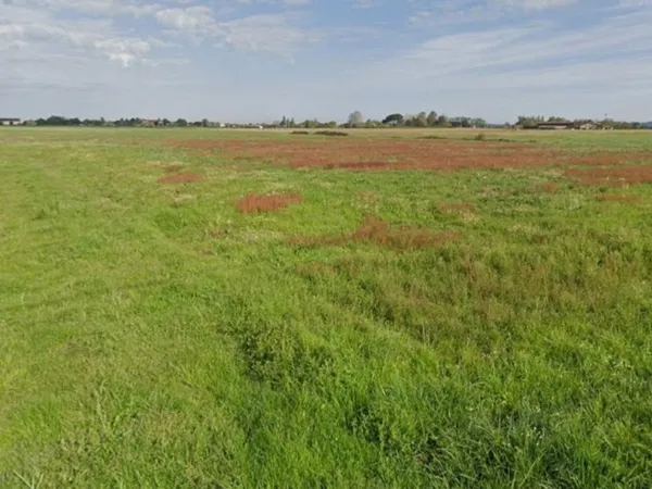 Terrain 920 m²