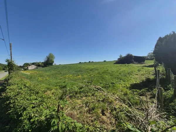 Terrain 1 hectare 8