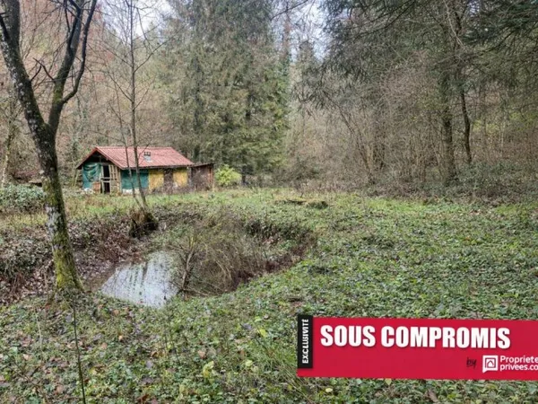 Terrain + cabane + lac naturel , Willer sur THUR 68760