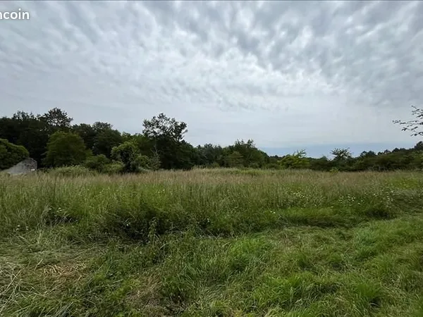 Terrain 3 050 m² Cissac Medoc
