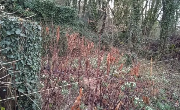 Terrain commune de Floing