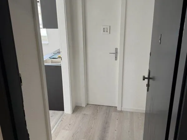 Apparemment rénover entièrement neuf centre-ville de Saint-Louis proche de la frontière de Bâle