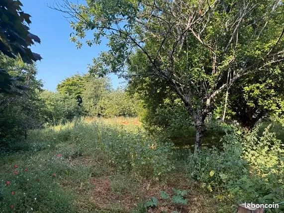 Terrain 1 116 m² Mornac