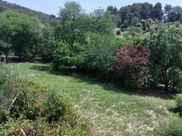 Terrain 810 m²
