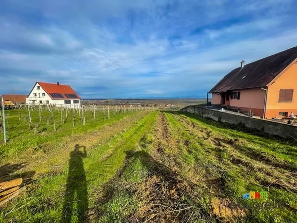 Terrain à bâtir Vente Gueberschwihr   77000€