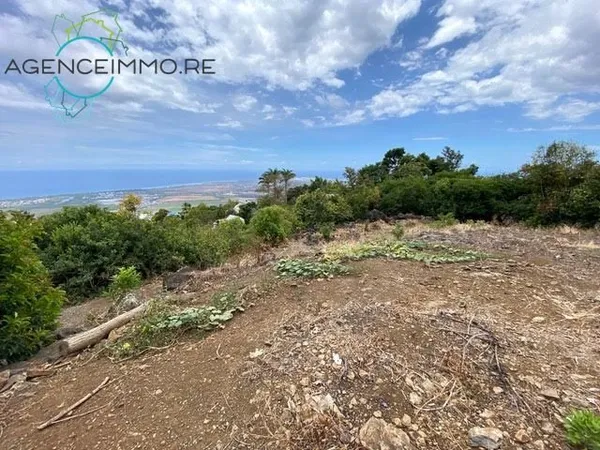 Terrain 5279 m²