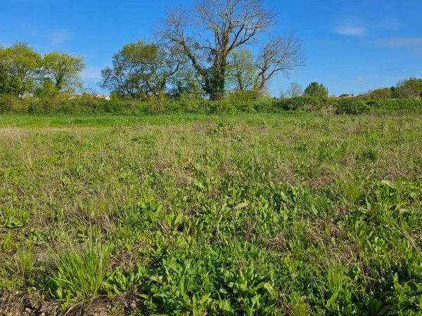 TERRAIN A BATIR A LOIRE LES MARAIS