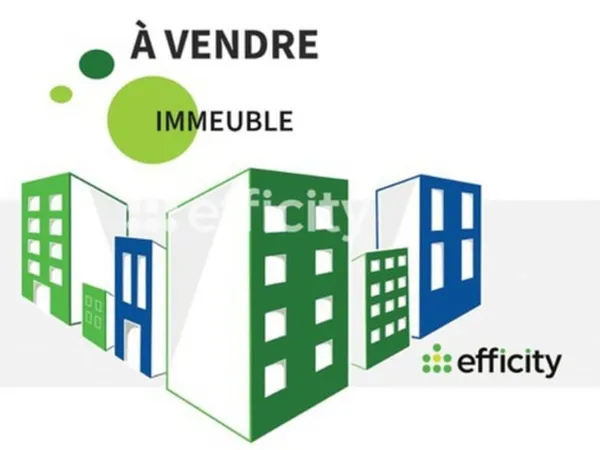 Immeuble 343 m²