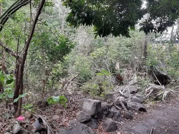 Magnifique terrain Plat de 2800 m²