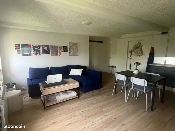 Apprtement renové 45m2 centre