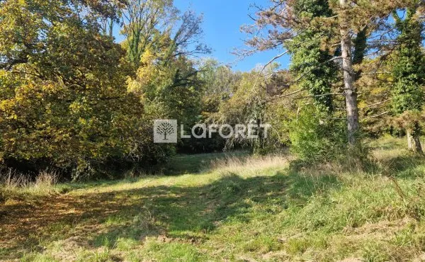 Terrain 4539 m²