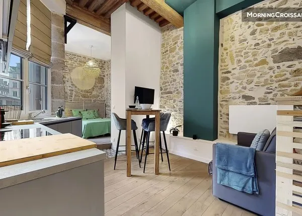 Studio meublé et équipé - Lyon 1