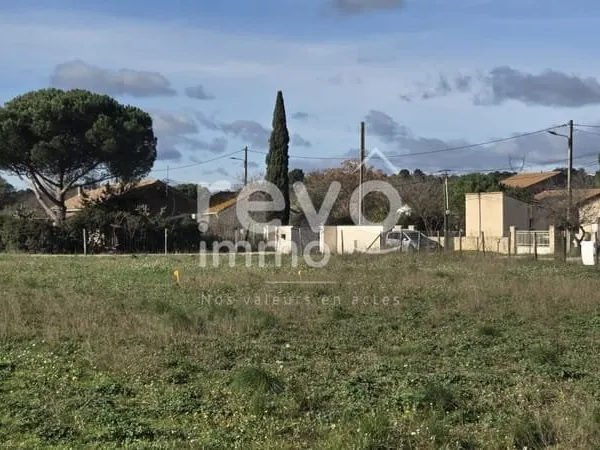 Terrain constructible