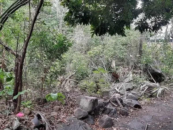 Magnifique terrain Plat de 2800 m²
