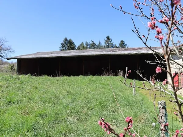 PRESIGNAC (87) - DOMAINE AVEC MAISON À RÉNOVER + 900 M2 DE D
